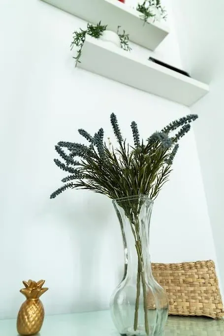 Libertad By Gades Gestion Apartment Cadiz Spain